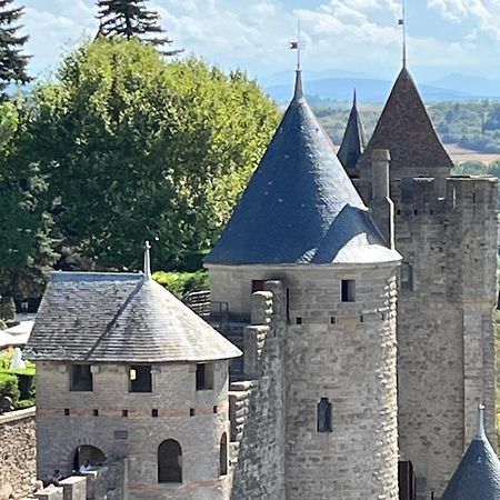 Appartement Tres Calme, Rdc, 800 M De La Cite Medievale Classee Au Patrimoine De L'Unesco Carcassonne Ngoại thất bức ảnh