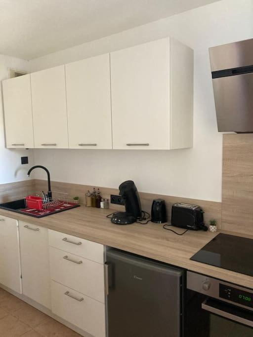 Appartement Tres Calme, Rdc, 800 M De La Cite Medievale Classee Au Patrimoine De L'Unesco Carcassonne Ngoại thất bức ảnh