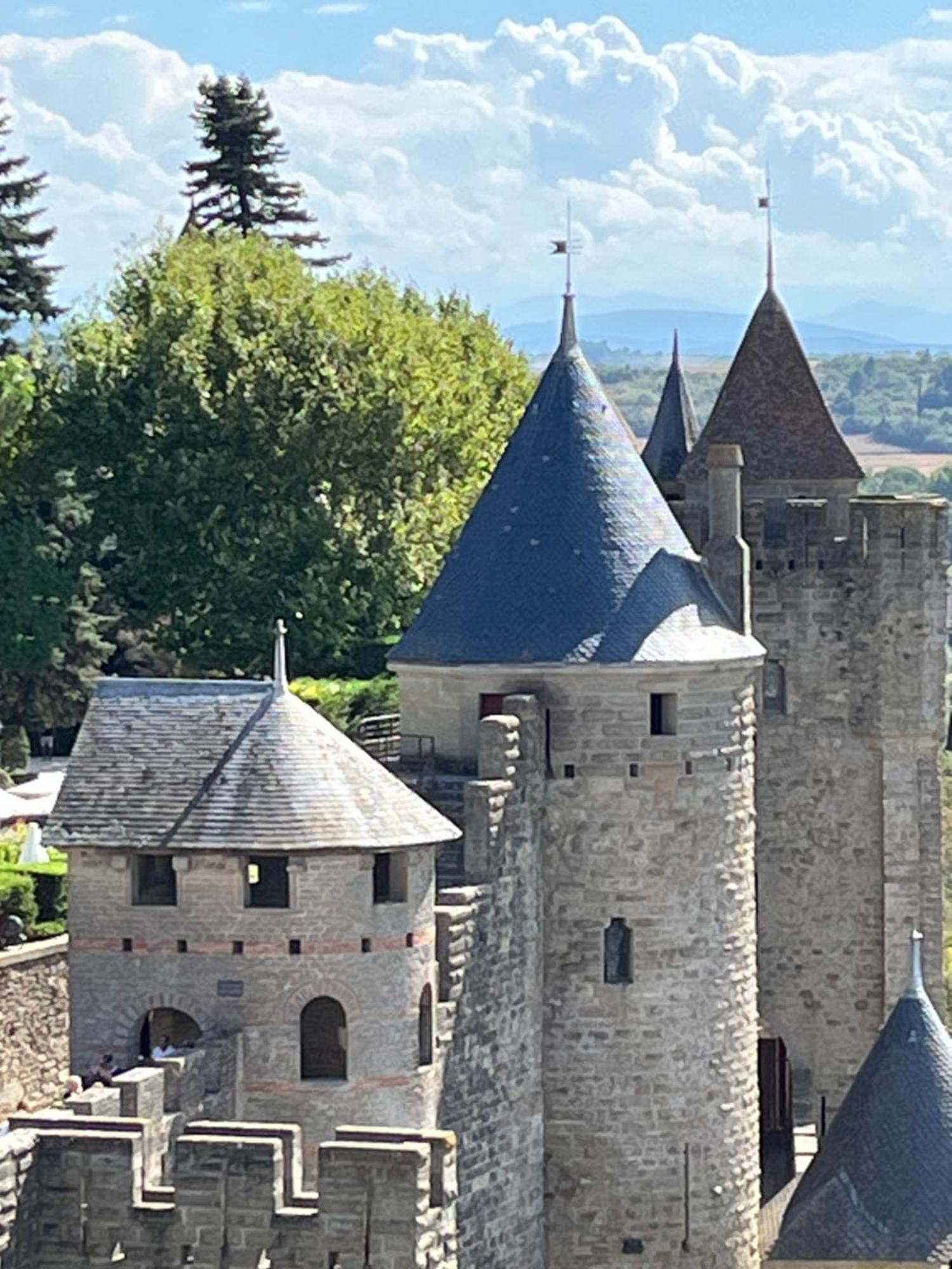 Appartement Tres Calme, Rdc, 800 M De La Cite Medievale Classee Au Patrimoine De L'Unesco Carcassonne Ngoại thất bức ảnh